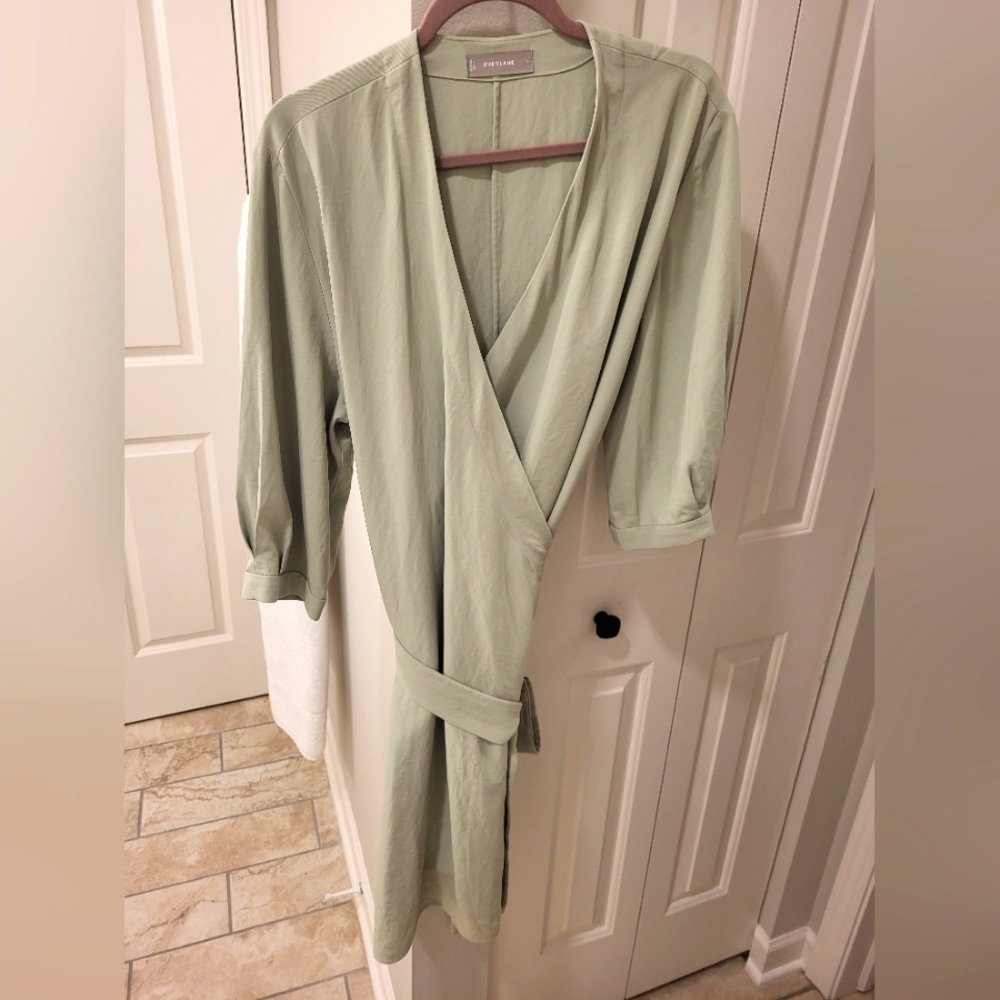 Everlane Japanese GoWeave Women's Wrap Dress Mint Green Size 14